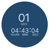 Countdown Timer