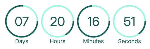 Countdown Timer