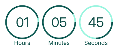 Countdown Timer