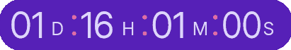 Countdown Timer