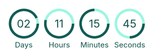 Countdown Timer