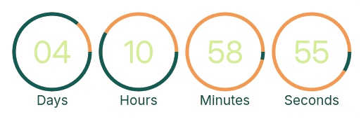 Countdown Timer