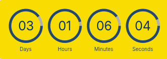 Countdown Timer