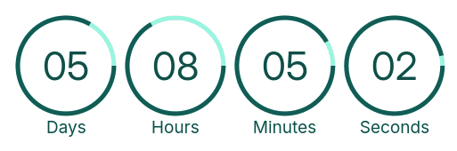 Countdown Timer