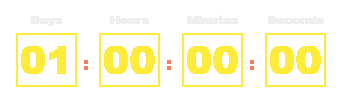 Countdown Timer