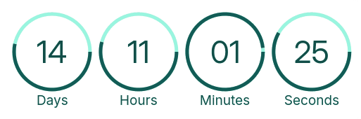 Countdown Timer
