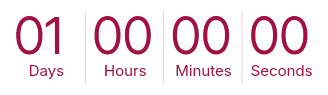 Countdown Timer
