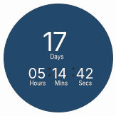 Countdown Timer