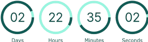 Countdown Timer