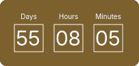 Countdown Timer