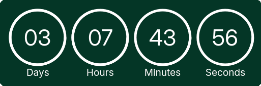 Countdown Timer